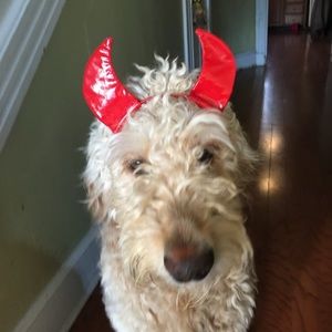 Meet your Posher, Mina